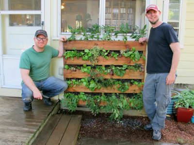 221-livingwalls-monty-kai