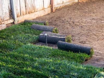 how-to-lay-sod-to-start-new-lawns-2132203_Hero1A-339b58bbe9ff4ae98e1d965e0e510ba0 (1)